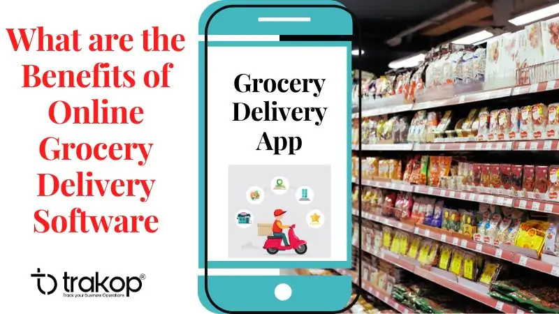 online grocery delivery software